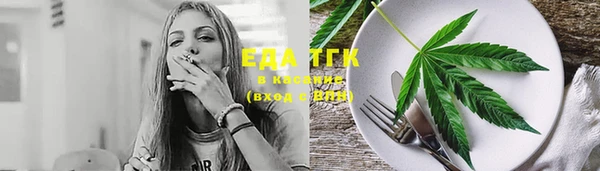 дмт Алзамай