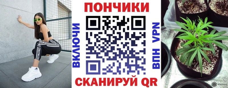 Бошки марихуана индика  Елец 